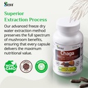sayan-siberian-chaga-mushroom-extract-90-6.jpg