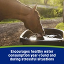 farnam-apple-elite-horse-electrolytes-po-5.jpg