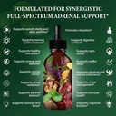 adrenal-support-supplement-cortisol-dail-4.jpg