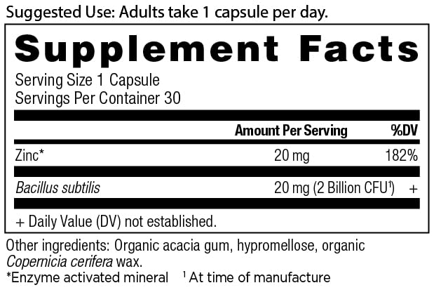 ancient-nutrition-zinc-capsules-30-count-2.jpg