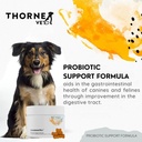 thornevet-probiotic-support-formula-gast-2.jpg