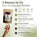 longevity-botanicals-organic-cordyceps-m-3.jpg
