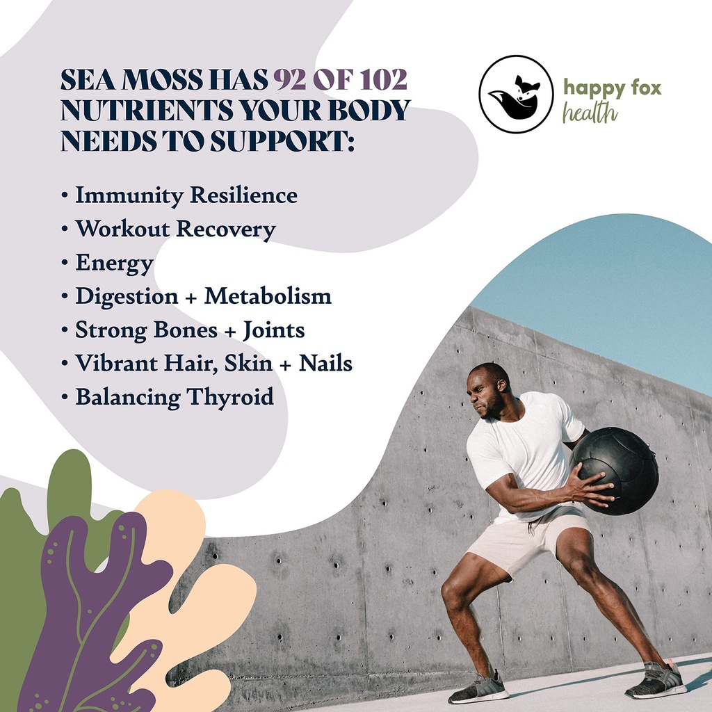 brain-body-purple-raw-bundle-organic-sea-3.jpg