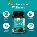 bundle-of-nattokinase-supplement-for-hea-5.jpg