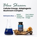 nutricel-supplements-methylene-blue-caps-5.jpg