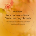 pendulum-polyphenol-booster-antioxidant--6.jpg