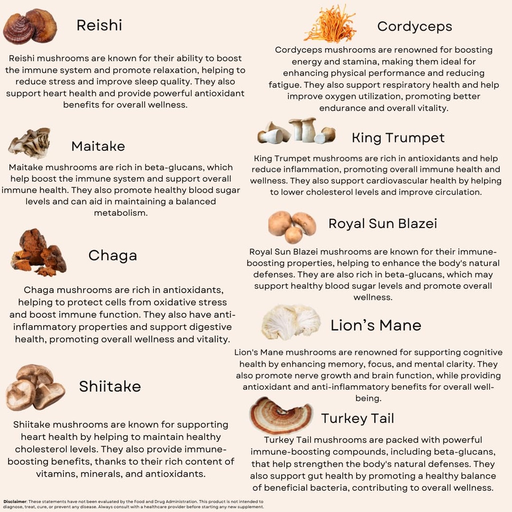 organic-mushroom-immune-support-capsules-4.jpg