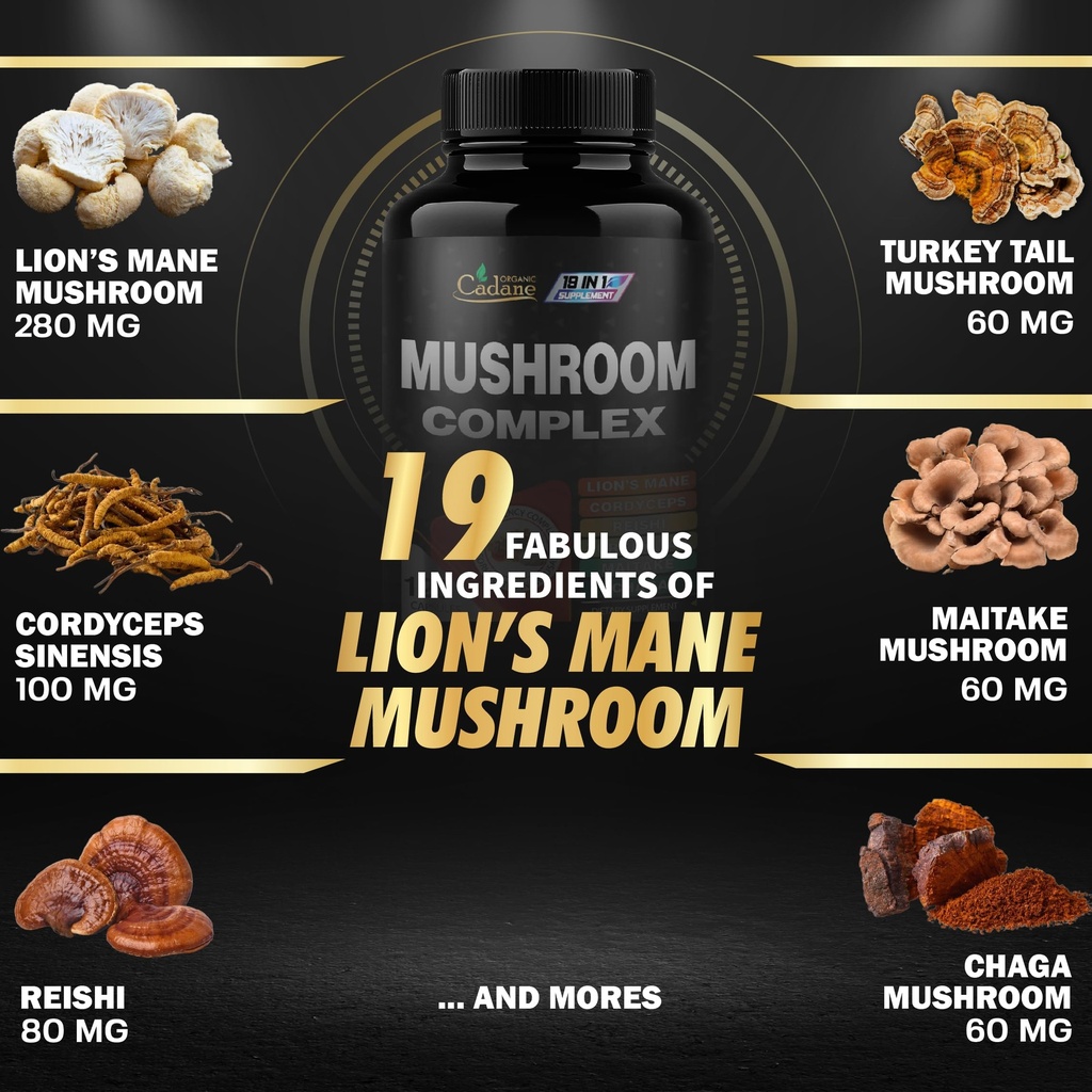 cadane-mushroom-complex-supplements-19in-3.jpg