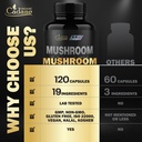 cadane-mushroom-complex-supplements-19in-5.jpg