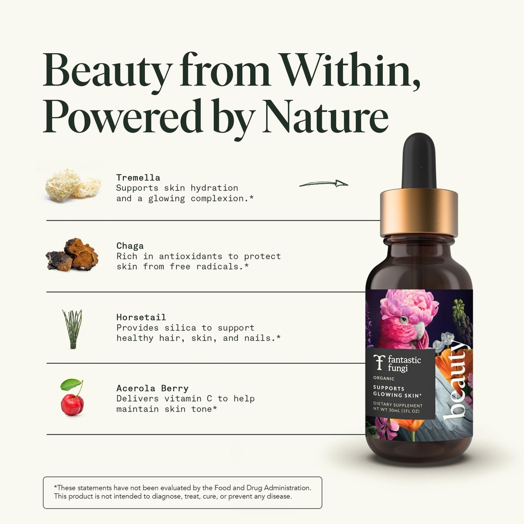fantastic-fungi-mushroom-elixir-bundle-w-6.jpg