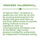 nature-s-way-premium-herbal-parsley-leaf-3.jpg