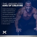 allmax-essentials-creatine-1000-g-powder-5.jpg