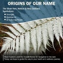 silver-fern-brand-motility-non-laxative--5.jpg