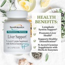 transformation-the-genesis-of-good-healt-2.jpg
