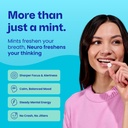 neuro-energy-focus-mint-set-original-90c-3.jpg