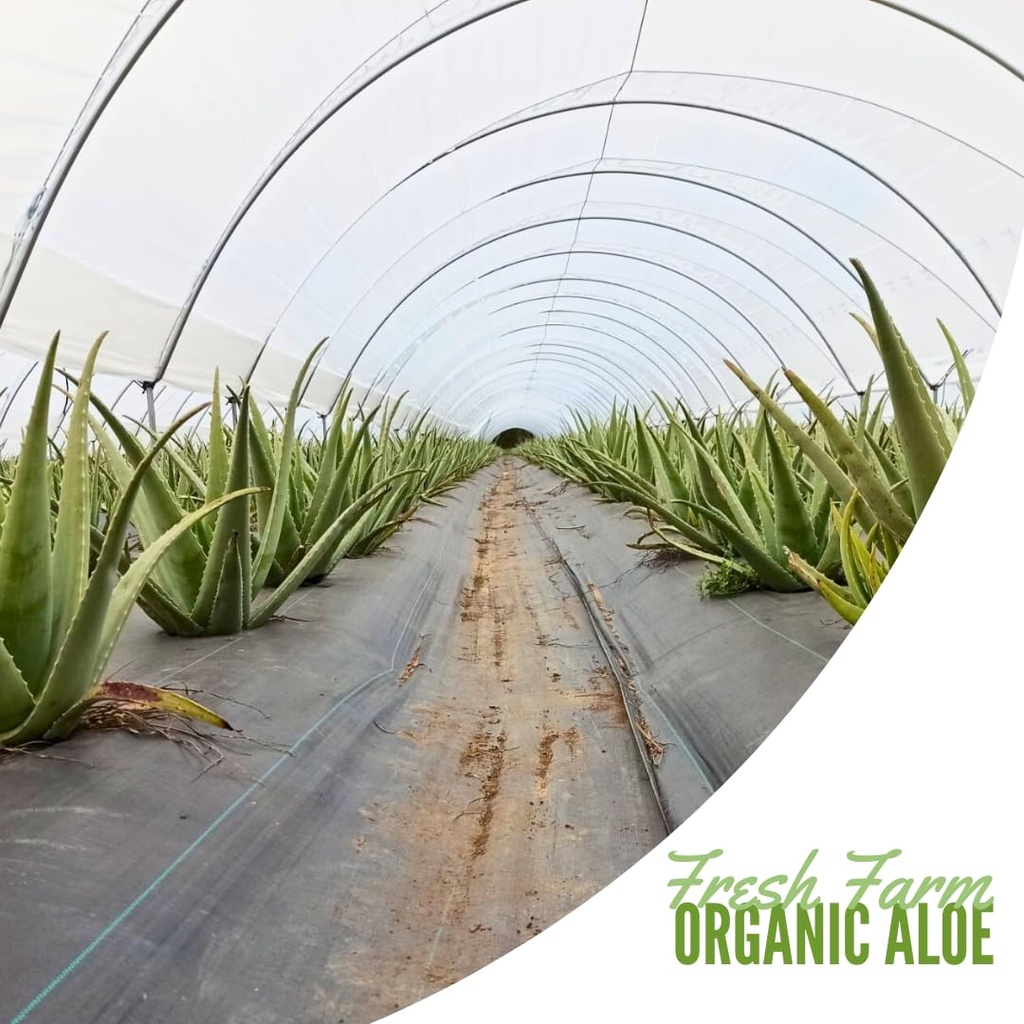 naturae-healthy-aloe-vera-juice-natural--6.jpg
