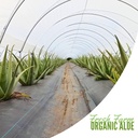 naturae-healthy-aloe-vera-juice-natural--6.jpg