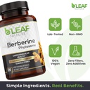 b-leaf-nature-berberine-phytosome-120-ca-3.jpg