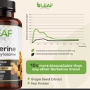 b-leaf-nature-berberine-phytosome-120-ca-5.jpg