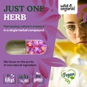 wild-organic-saffron-capsules-88-5-mg-mo-5.jpg