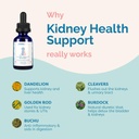 pranapets-kidney-health-support-suppleme-4.jpg