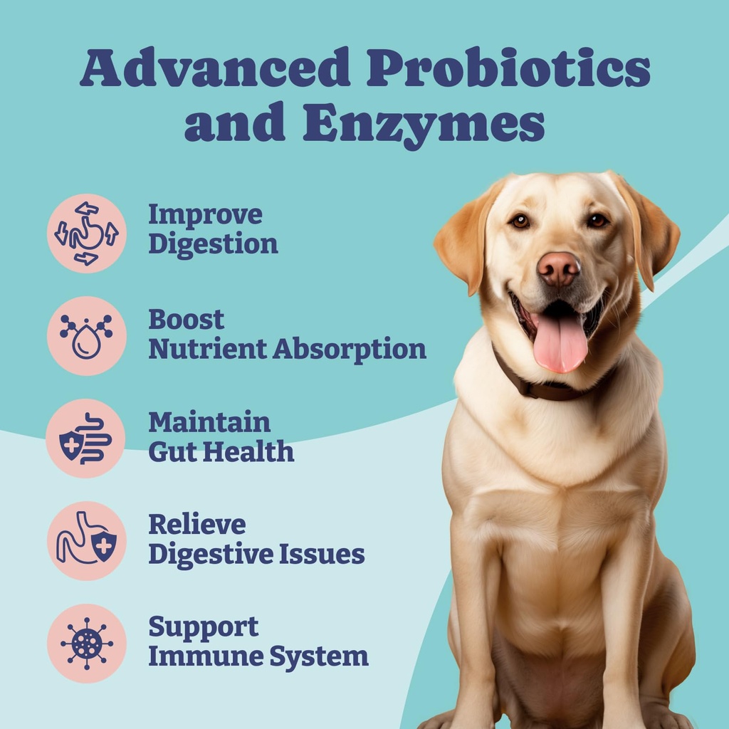 probiotics-for-dogs-dog-probiotics-and-d-2.jpg