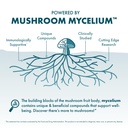 host-defense-cordychi-powder-energy-immu-4.jpg