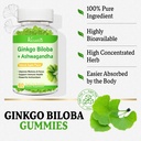 2-pack-ginkgo-biloba-gummies-240mg-with--5.jpg