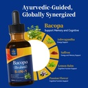bacopa-monnieri-extract-drops-for-memory-2.jpg
