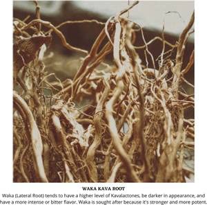 starwest-botanicals-kava-kava-root-c-s-4-3.jpg