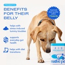 native-pet-daily-wellness-bundle-dog-pro-3.jpg