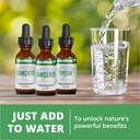 nutramedix-natural-boost-for-men-amino-a-6.jpg