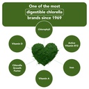 sun-chlorella-powder-green-superfood-alg-6.jpg
