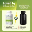 pure-moringa-extract-capsules-20-1-20-00-6.jpg