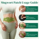 2-boxes-herbal-body-patches-natural-mugw-4.jpg
