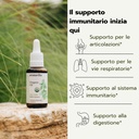 essential-organic-oil-of-oregano-100-pur-5.jpg