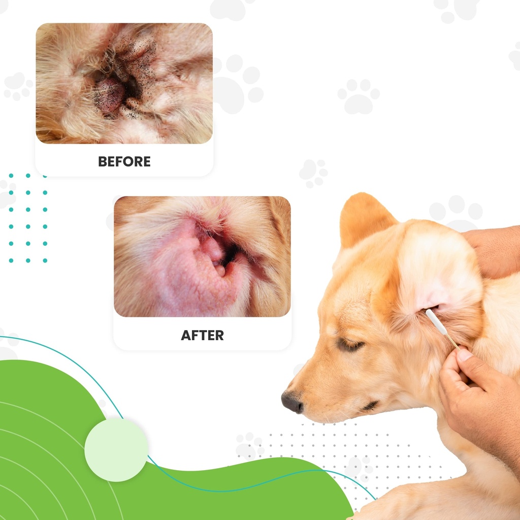 we-love-doodles-dog-ear-cleaning-solutio-5.jpg