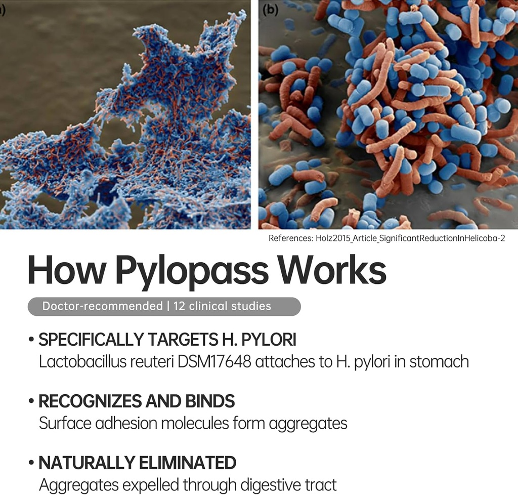 5-in-1-high-potency-h-pylori-treatment-p-2.jpg