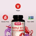 jarrow-formulas-maximum-strength-methyl--5.jpg