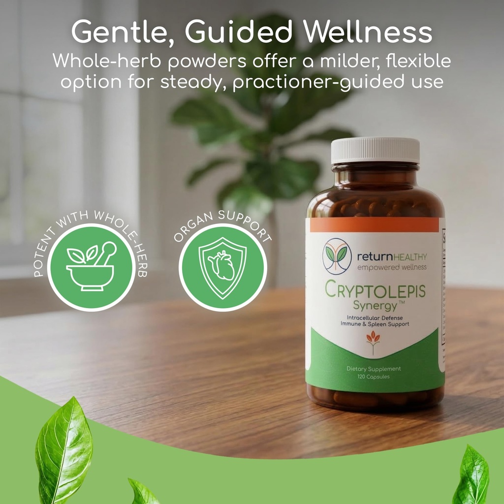 cryptolepis-synergy-immune-support-vitam-3.jpg