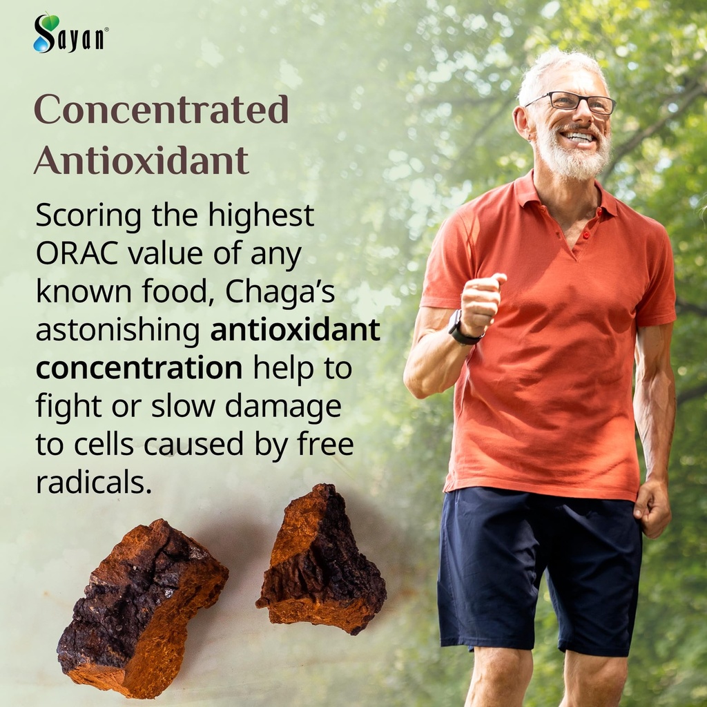 sayan-siberian-pure-raw-chaga-mushroom-c-5.jpg