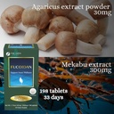 fine-japan-fucoidan-with-wakame-seaweed--6.jpg