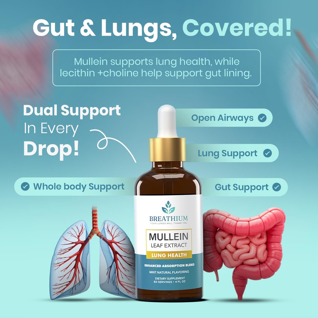4-in-1-mullein-drops-for-lungs-gut-healt-4.jpg