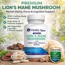 lions-mane-supplement-capsules-lion-s-ma-3.jpg