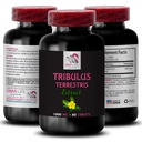 standardized-tribulus-extract-tribulus-t-2.jpg