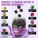 q-ankyaq-kidney-cleanse-detox-repair-gum-4.jpg