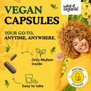 wild-organic-mullein-capsules-4-1-mullei-4.jpg