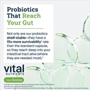 hyperbiotics-vital-nutrients-pro-15-adva-5.jpg