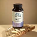 terra-origin-healthy-gut-with-vitamin-d--3.jpg