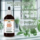 saint-john-s-wort-hypericum-perforatum-d-6.jpg